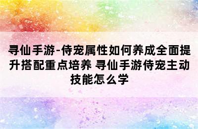 寻仙手游-侍宠属性如何养成全面提升搭配重点培养 寻仙手游侍宠主动技能怎么学